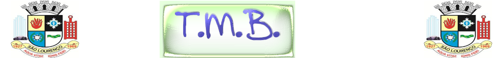 "TMB logo"